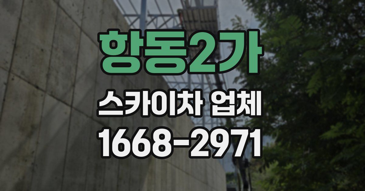 항동2가 스카이차 업체