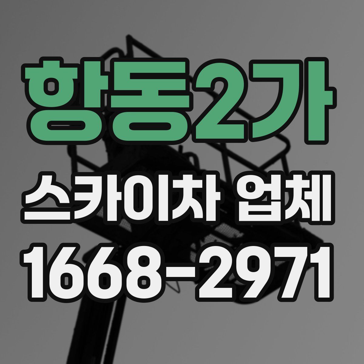 항동2가 스카이차 업체