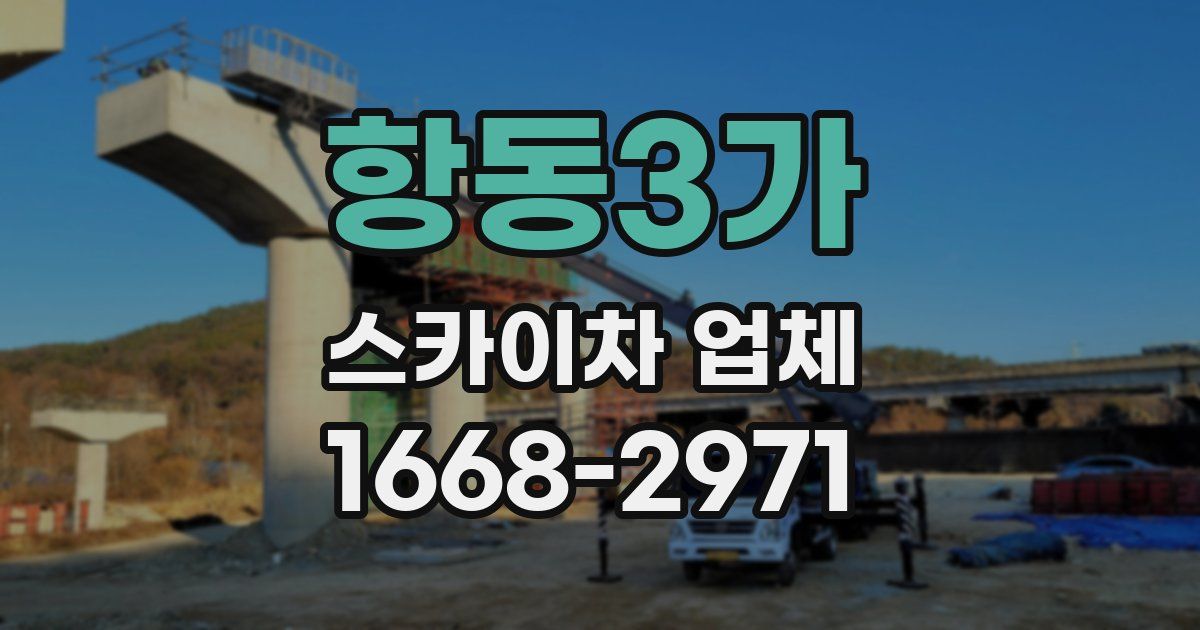 항동3가 스카이차 업체