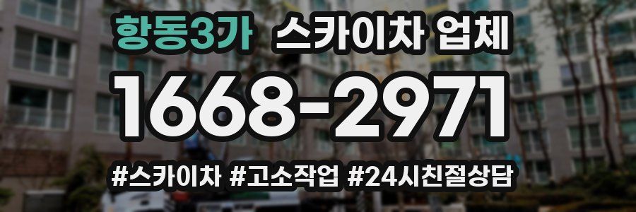 항동3가 스카이차 업체