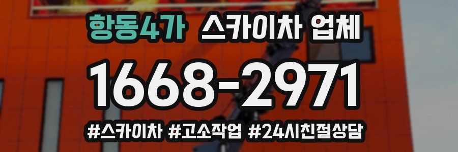 항동4가 스카이차 업체