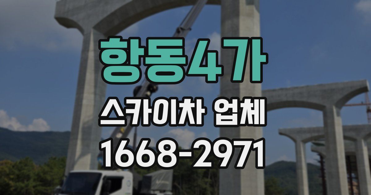 항동4가 스카이차 업체