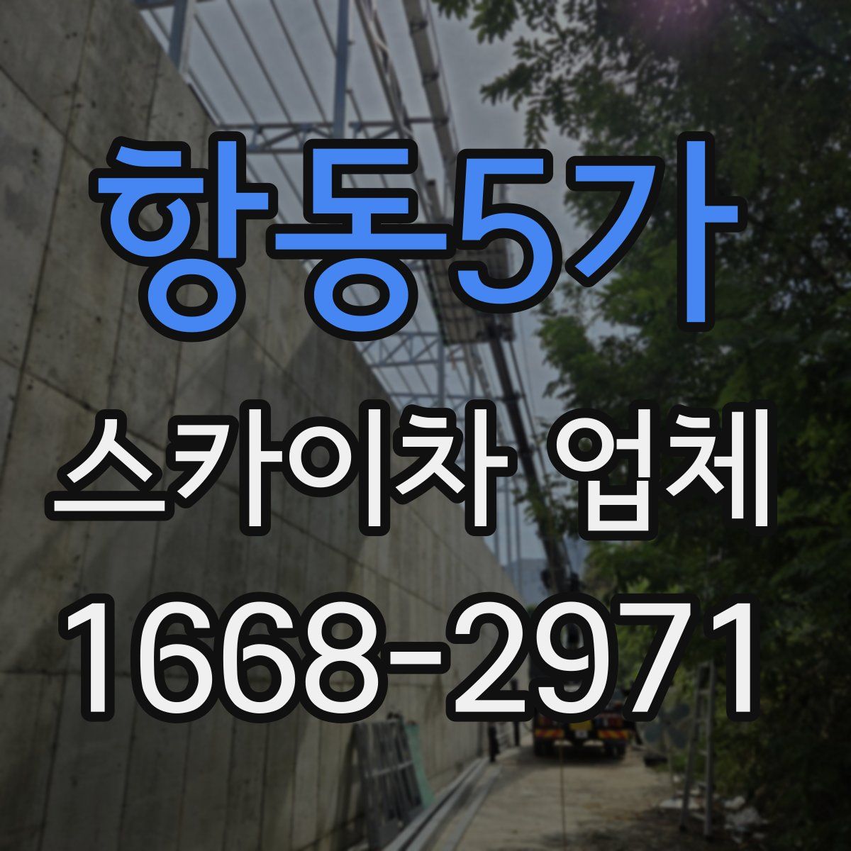 항동5가 스카이차 업체