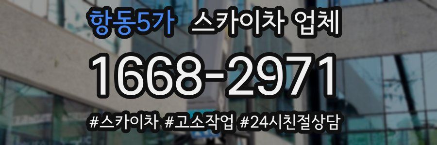 항동5가 스카이차 업체