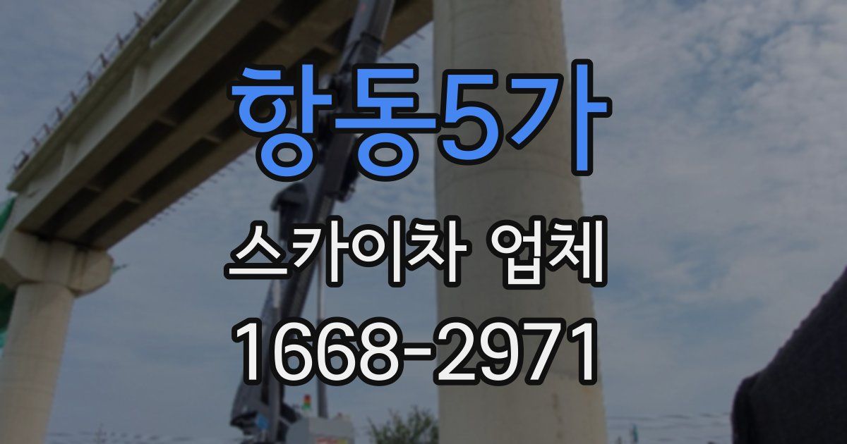 항동5가 스카이차 업체