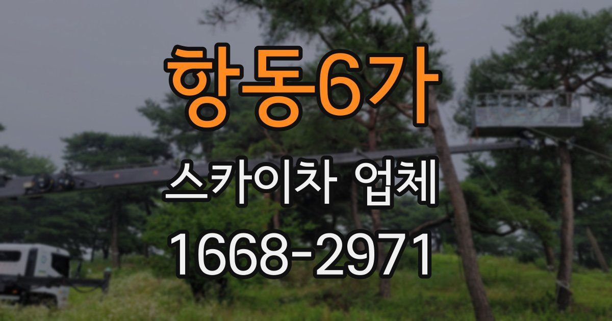 항동6가 스카이차 업체