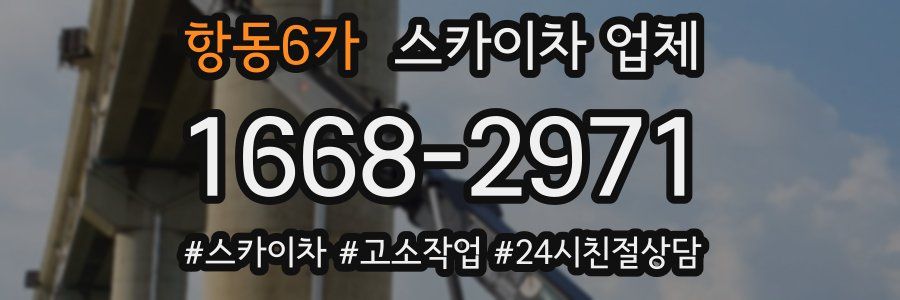 항동6가 스카이차 업체
