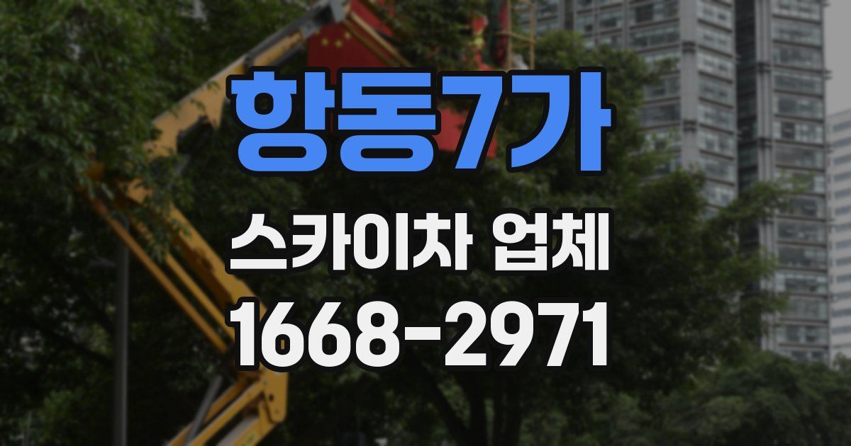 항동7가 스카이차 업체