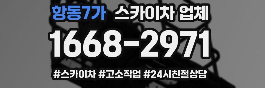 항동7가 스카이차 업체