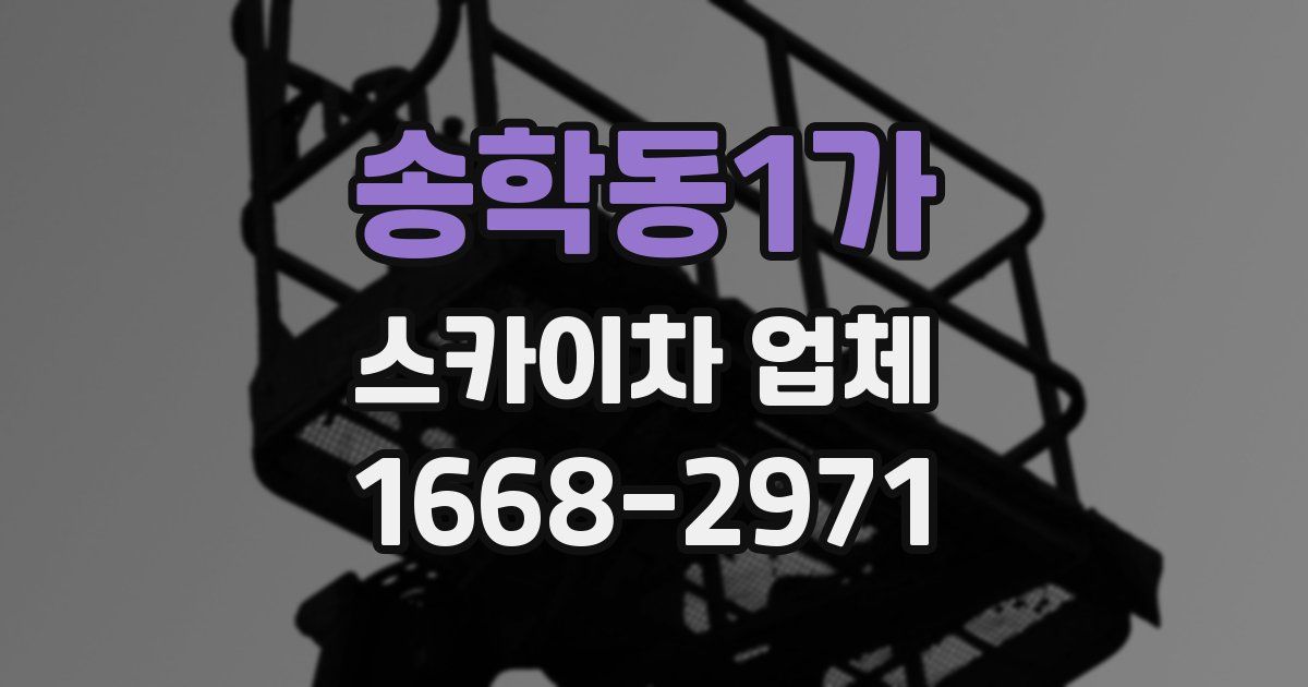 송학동1가 스카이차 업체