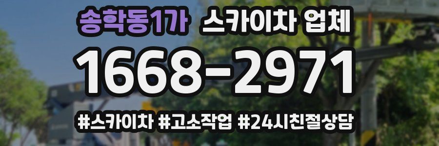 송학동1가 스카이차 업체