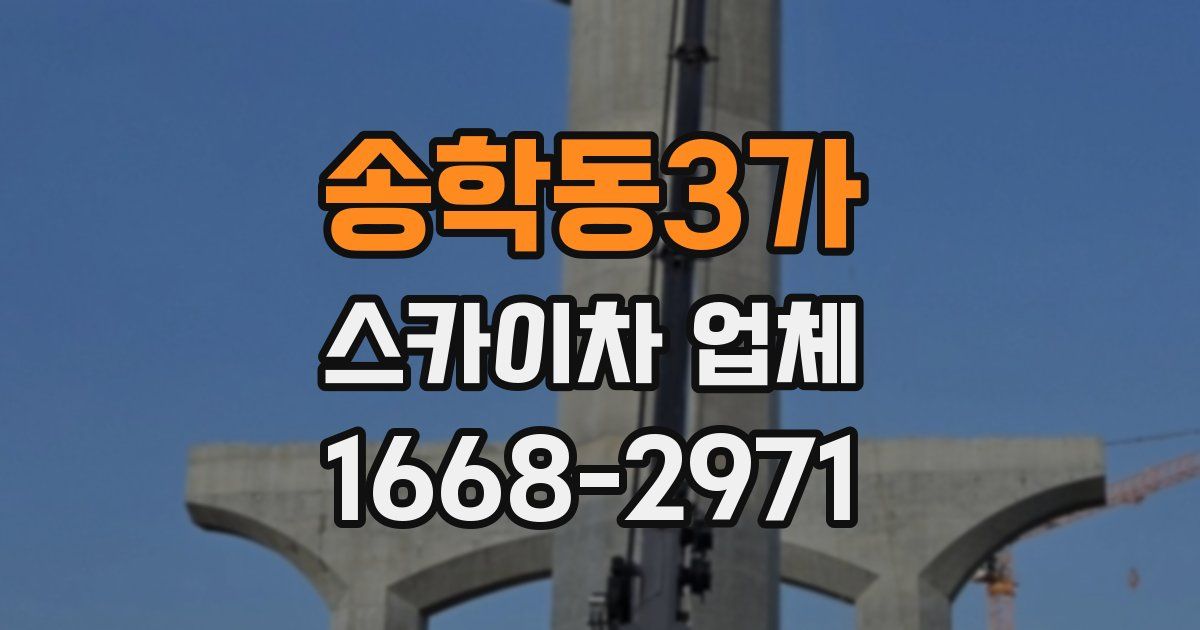 송학동3가 스카이차 업체