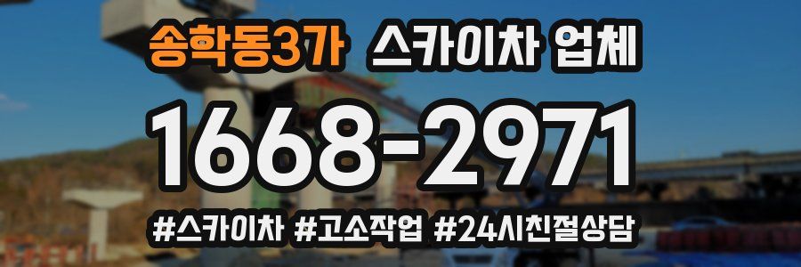 송학동3가 스카이차 업체