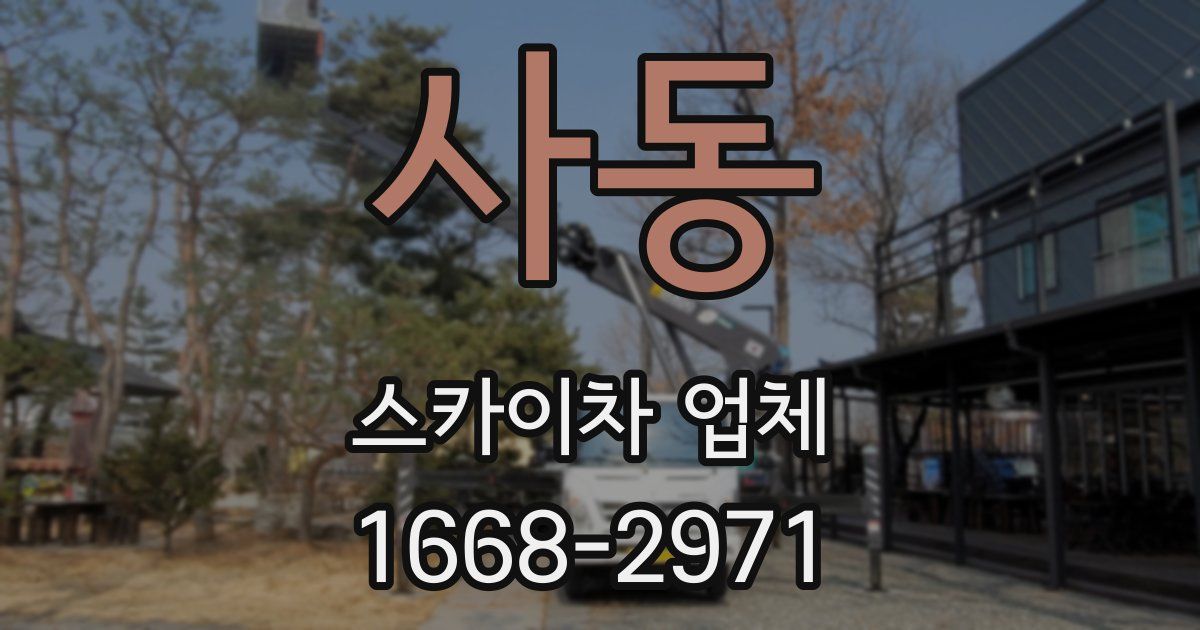 사동 스카이차 업체