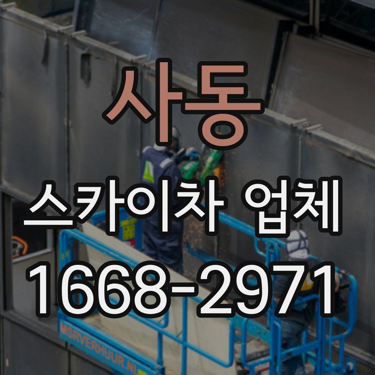 사동 스카이차 업체