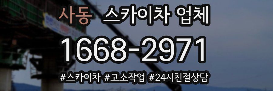 사동 스카이차 업체