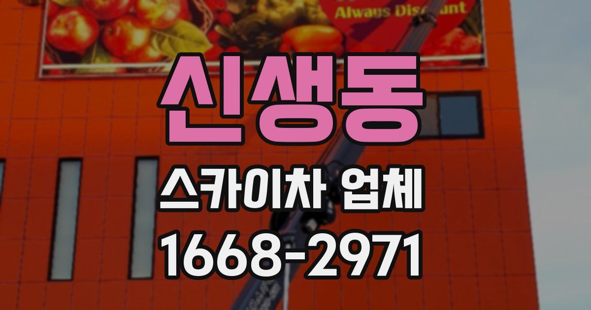 신생동 스카이차 업체