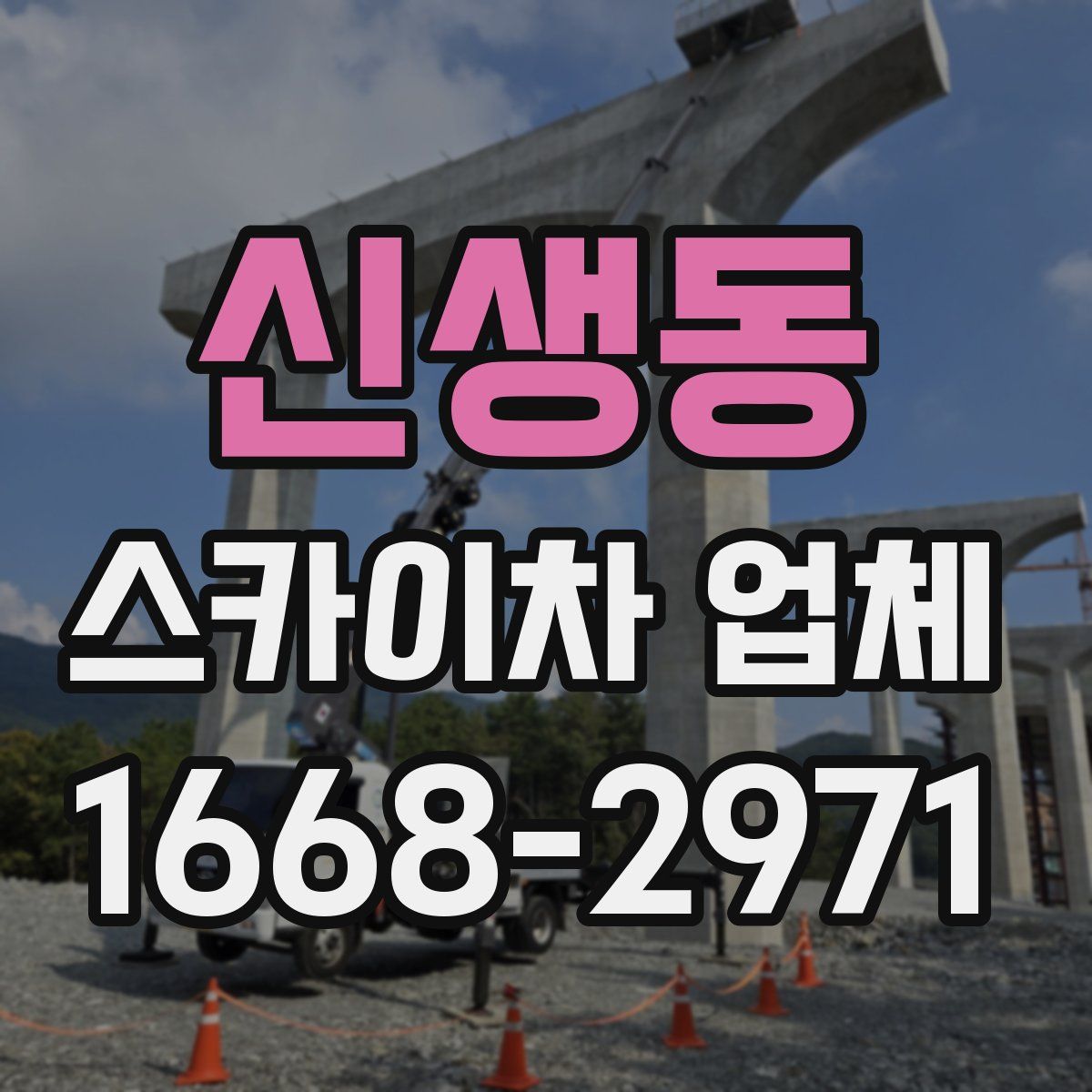 신생동 스카이차 업체