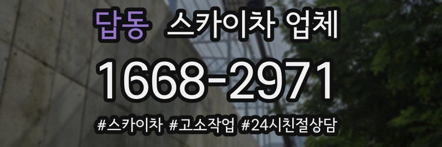 답동 스카이차 업체