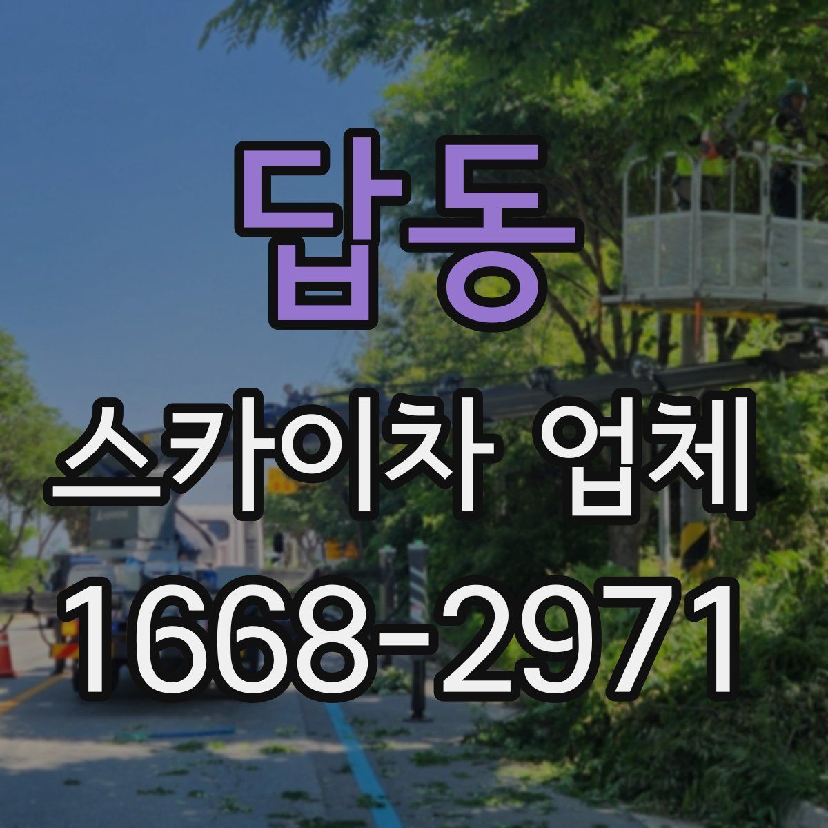 답동 스카이차 업체