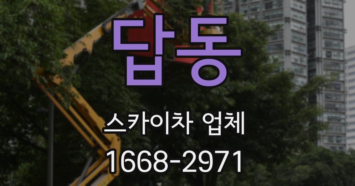 답동 스카이차 업체