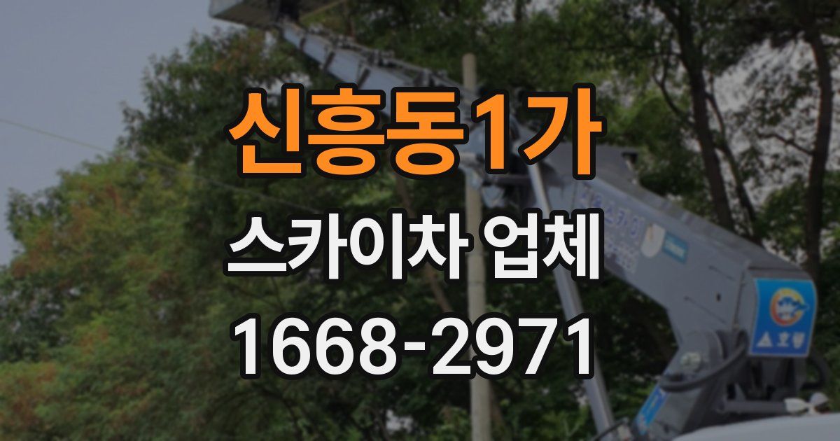 신흥동1가 스카이차 업체