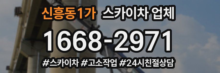 신흥동1가 스카이차 업체
