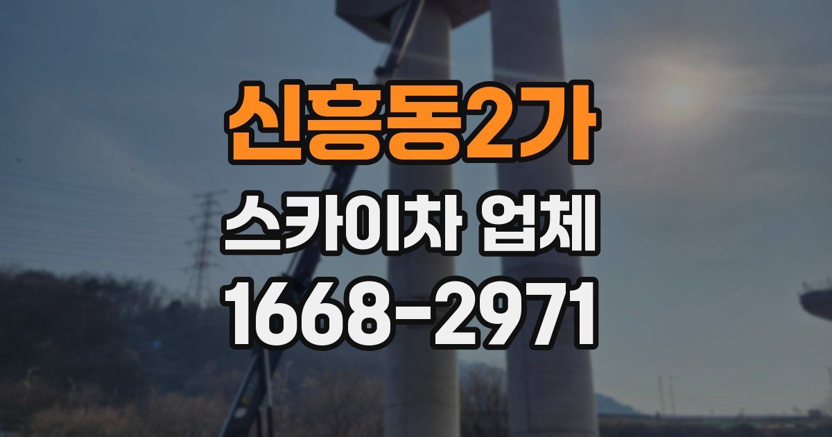 신흥동2가 스카이차 업체