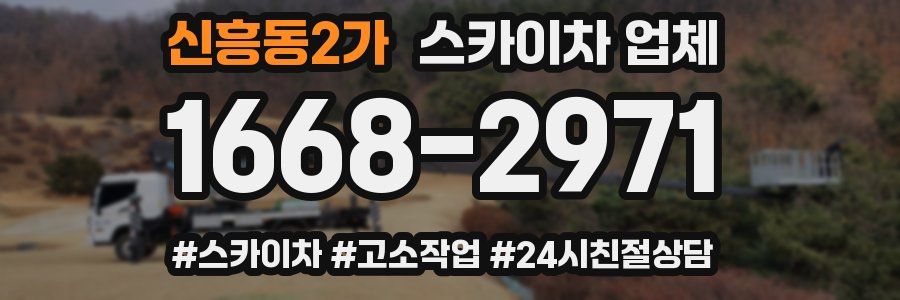 신흥동2가 스카이차 업체