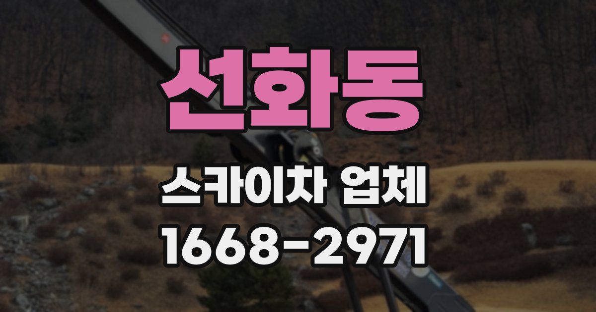 선화동 스카이차 업체