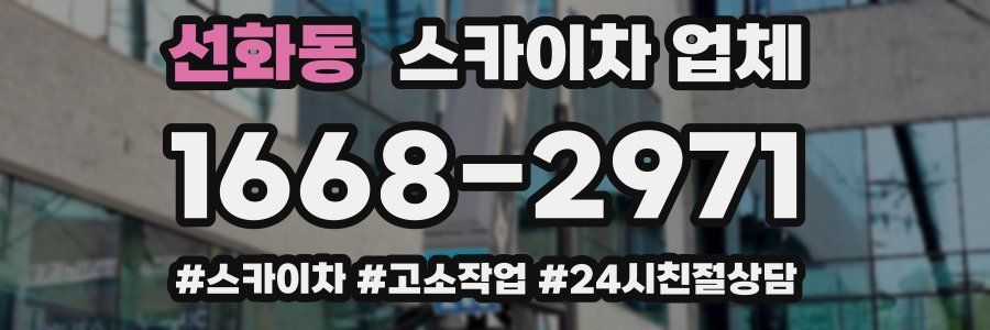 선화동 스카이차 업체