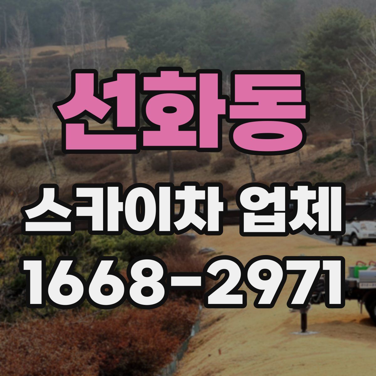 선화동 스카이차 업체