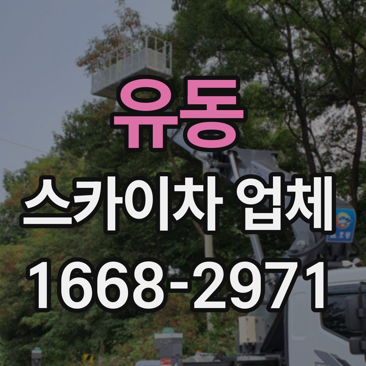 유동 스카이차 업체 문의 전 준비하면 좋은 정보