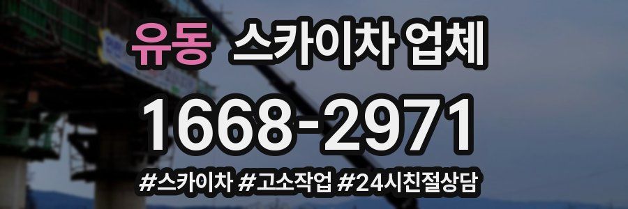 유동 스카이차 업체
