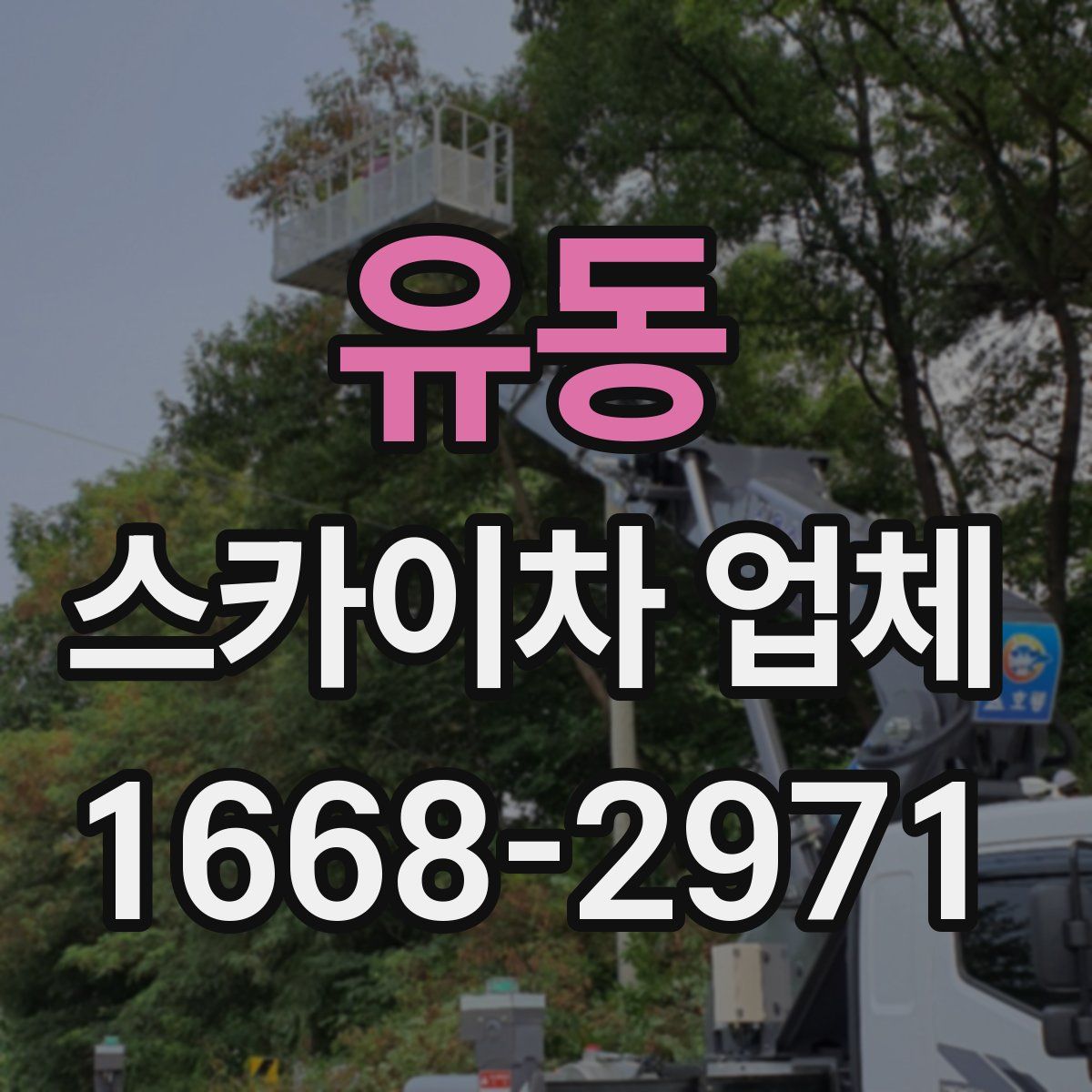 유동 스카이차 업체