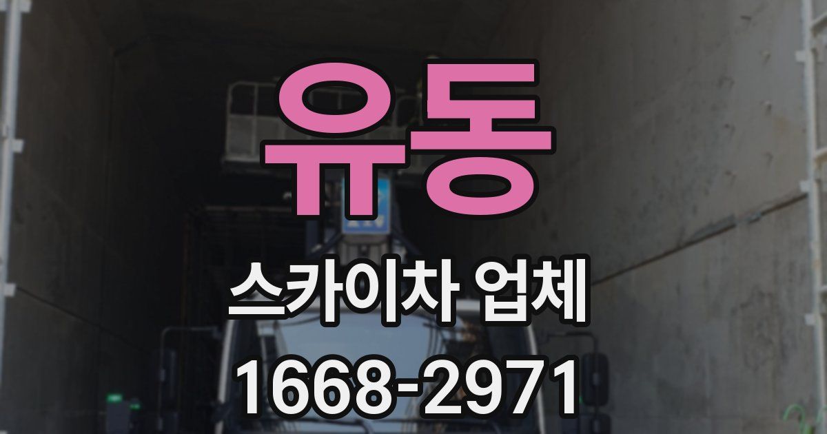유동 스카이차 업체