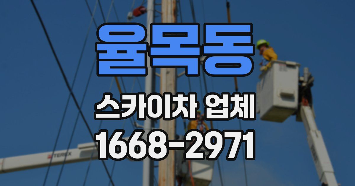 율목동 스카이차 업체