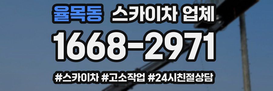 율목동 스카이차 업체