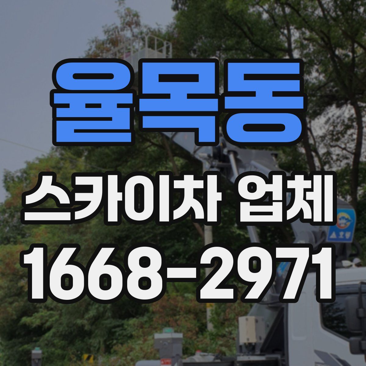 율목동 스카이차 업체