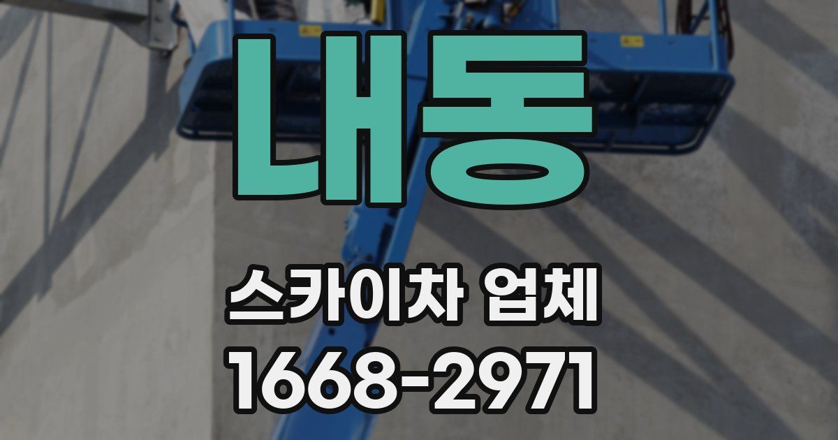 내동 스카이차 업체
