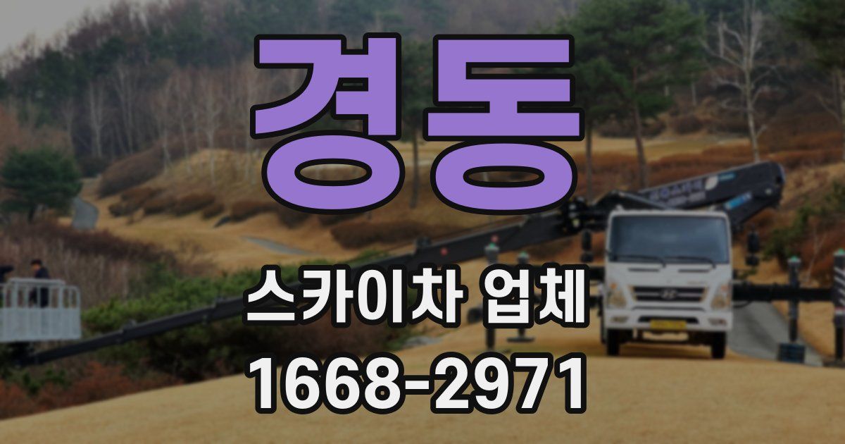 경동 스카이차 업체