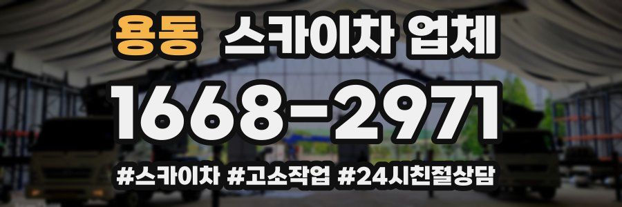 용동 스카이차 업체