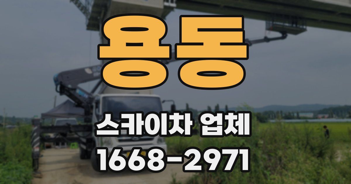 용동 스카이차 업체