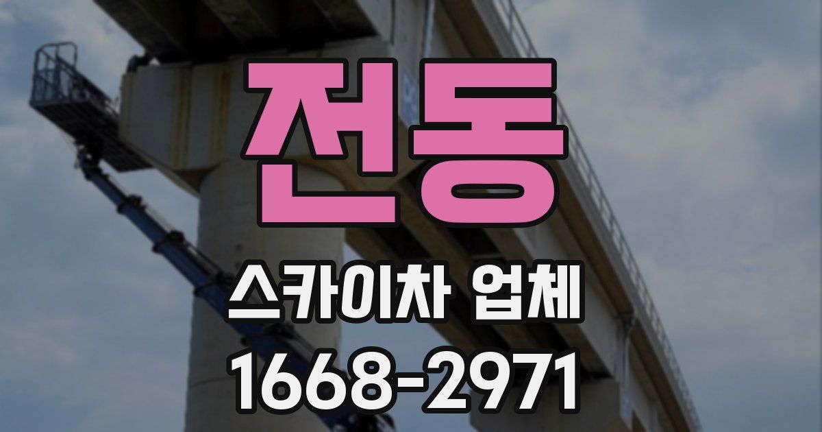 전동 스카이차 업체