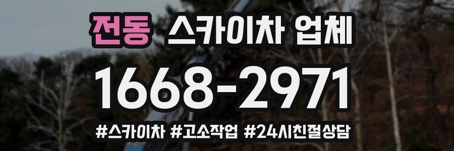 전동 스카이차 업체