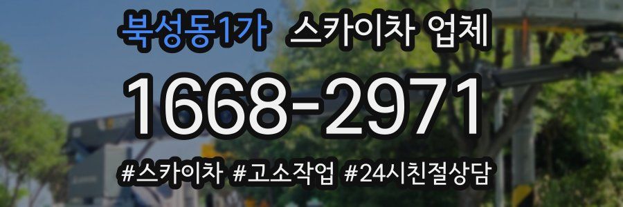 북성동1가 스카이차 업체