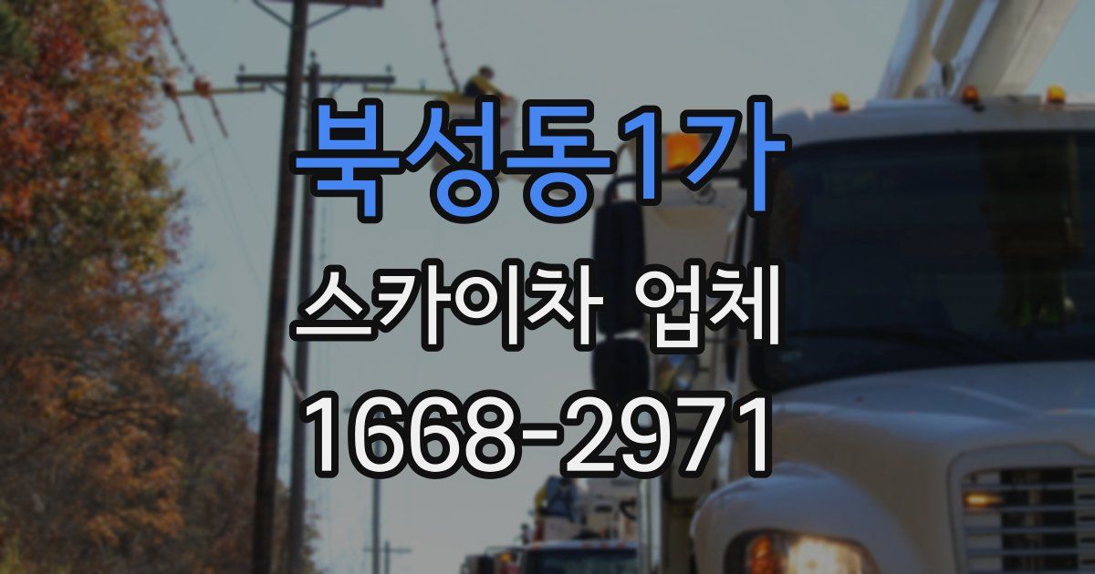 북성동1가 스카이차 업체