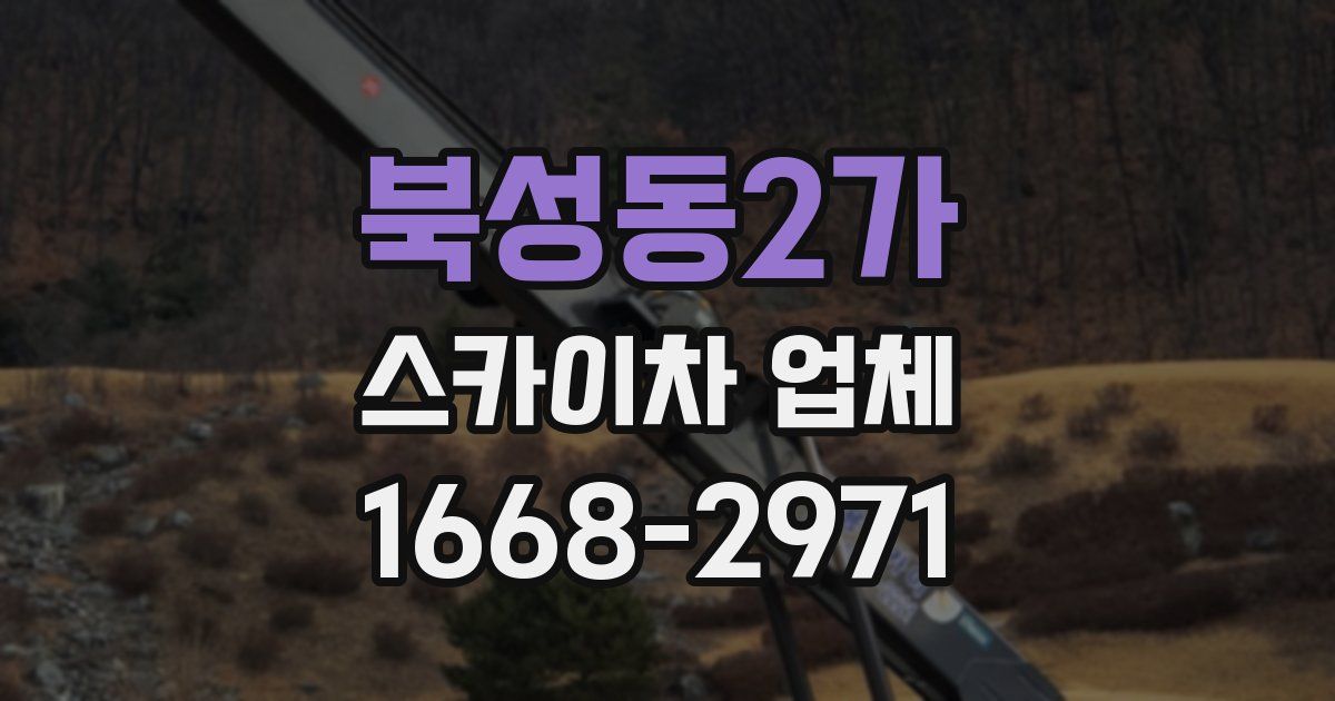 북성동2가 스카이차 업체