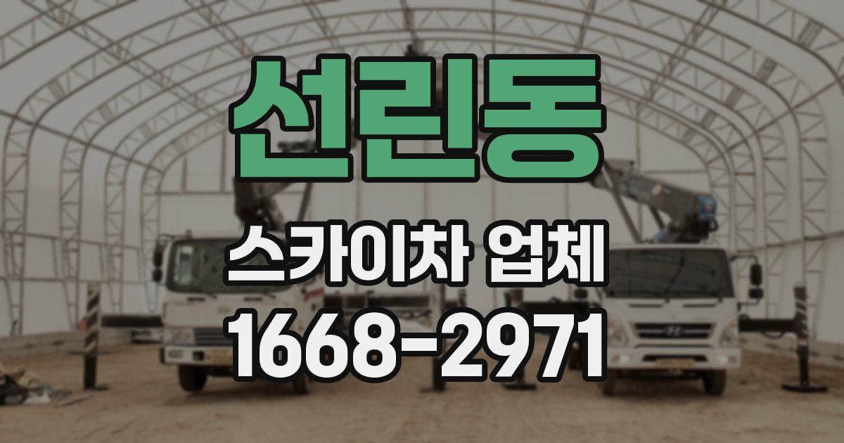 선린동 스카이차 업체