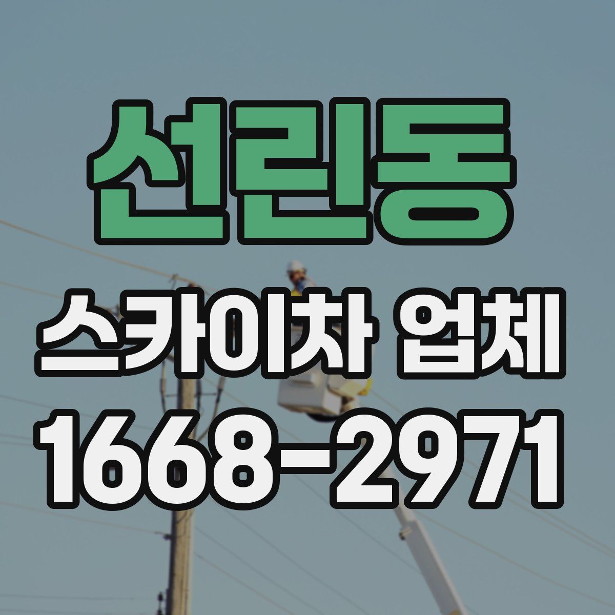 선린동 스카이차 업체
